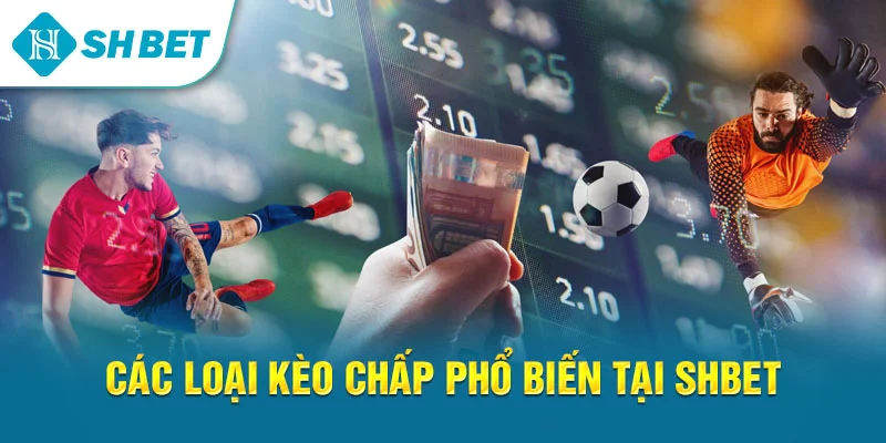 Kèo Chấp SHBET – Hướng Dẫn Đọc Kèo, Đặt Cược Và Chiến Thuật Hiệu Quả
