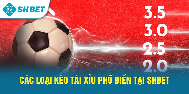 Kèo Tài Xỉu SHBET – Cách Đọc Kèo, Soi Cầu Và Chiến Thuật Cá Cược Hiệu Quả