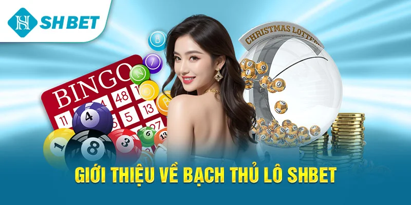 Bạch Thủ Lô SHBET – Hướng Dẫn Đánh, Soi Cầu Và Chiến Thuật Hiệu Quả