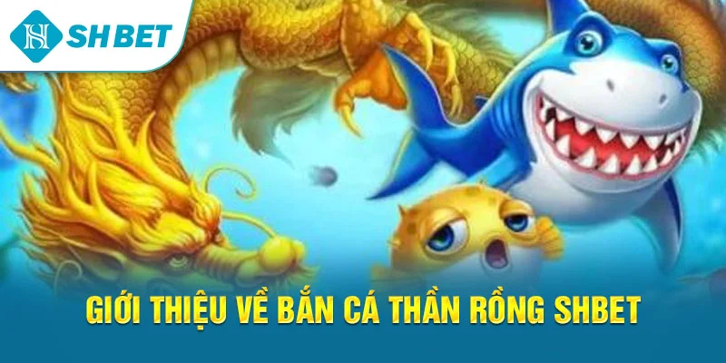 Bắn Cá Thần Rồng SHBET – Game Săn Cá Đổi Thưởng Đỉnh Cao 2026