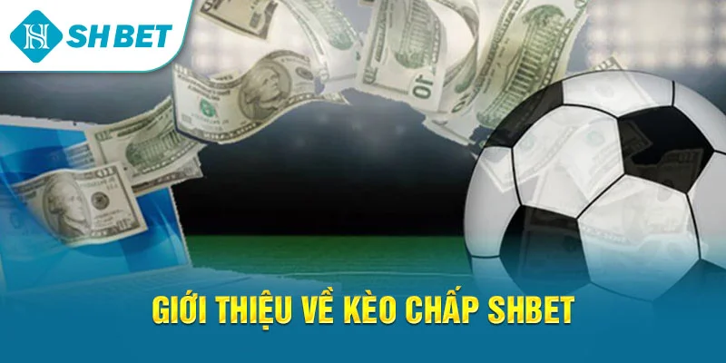 Kèo Chấp SHBET – Hướng Dẫn Đọc Kèo, Đặt Cược Và Chiến Thuật Hiệu Quả