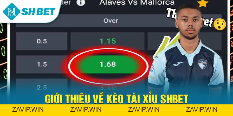 Thể Thao SHBET – Cá Cược Bóng Đá & Kèo Thể Thao Hấp Dẫn Nhất 2026