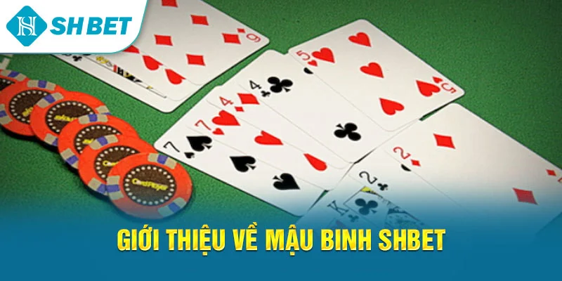 Mậu Binh SHBET – Hướng Dẫn Chơi, Xếp Bài Và Chiến Thuật Hiệu Quả