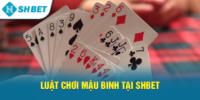 Mậu Binh SHBET – Hướng Dẫn Chơi, Xếp Bài Và Chiến Thuật Hiệu Quả