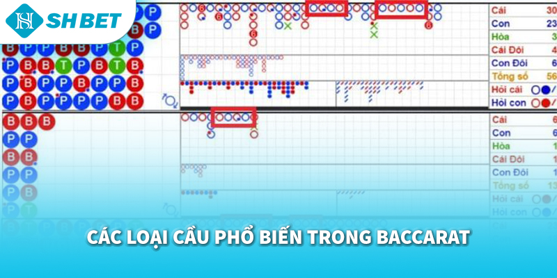 Cách Soi Cầu Baccarat 2026 | Bí Quyết Bắt Cầu Chuẩn & Chơi Hiệu Quả Tại SHBET