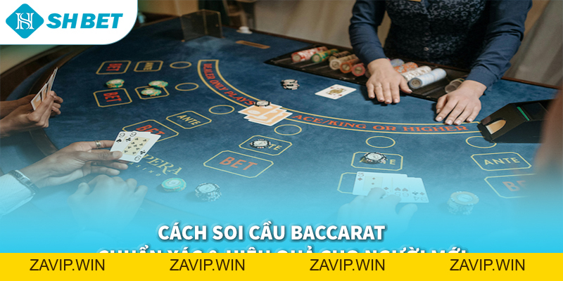 Cách Soi Cầu Baccarat 2026 | Bí Quyết Bắt Cầu Chuẩn & Chơi Hiệu Quả Tại SHBET