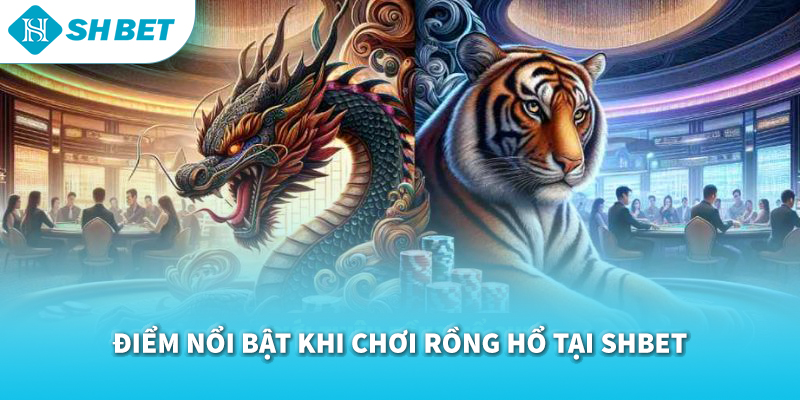 Rồng Hổ SHBET 2026 | Trò Chơi Bài Nhanh Gọn, Hấp Dẫn & Minh Bạch