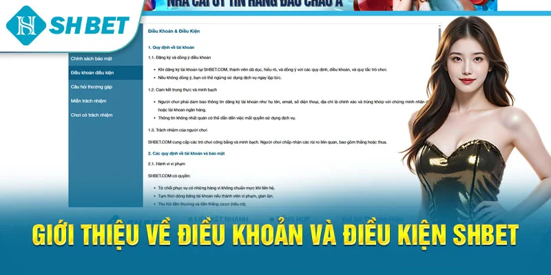 Điều Khoản Và Điều Kiện SHBET | Quy Định Người Chơi Cần Biết