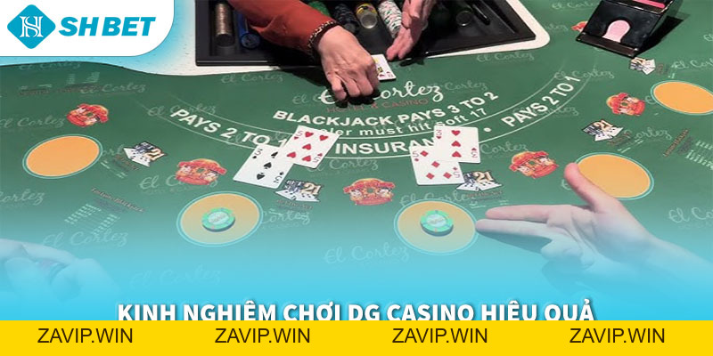 DG Casino SHBET 2026 | Trải Nghiệm Casino Online Đẳng Cấp, Minh Bạch & Trả Thưởng Cao