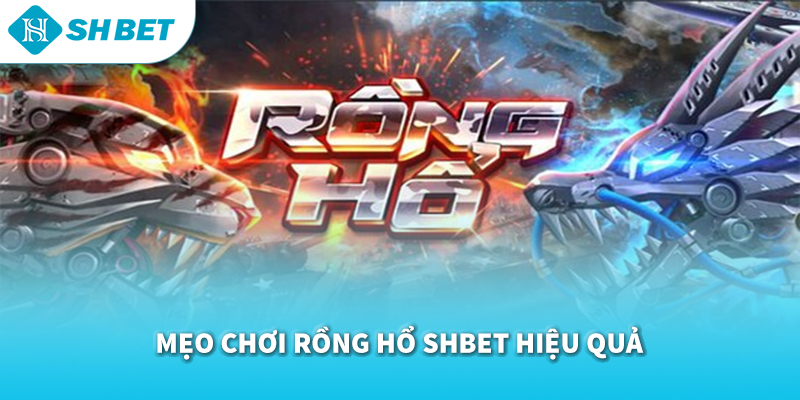 Rồng Hổ SHBET 2026 | Trò Chơi Bài Nhanh Gọn, Hấp Dẫn & Minh Bạch