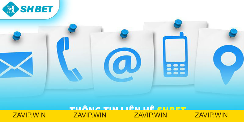 Thông Tin Liên Hệ SHBET Mới Nhất 2026 | Hotline, Email, Địa Chỉ Chính Thức