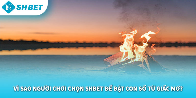 Mơ Thấy Lửa Đánh Con Gì 2026 | Giải Mã Điềm Báo & Con Số Chuẩn SHBET