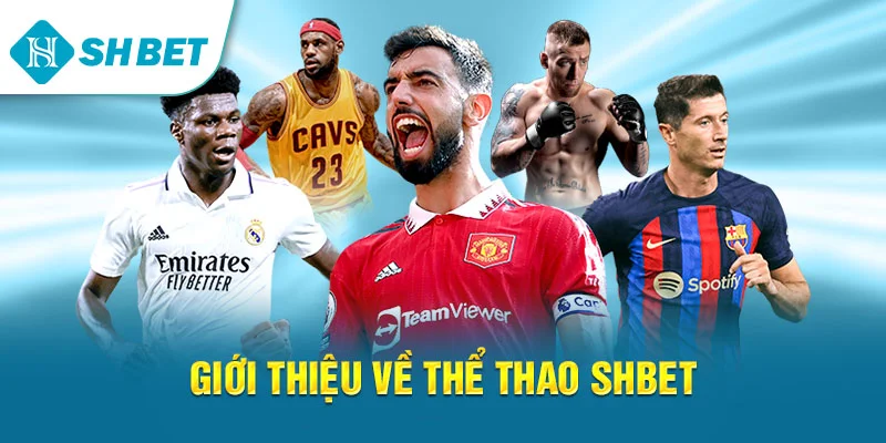 Thể Thao SHBET – Cá Cược Bóng Đá & Kèo Thể Thao Hấp Dẫn Nhất 2026