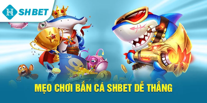 Bắn Cá SHBET – Hướng Dẫn Chơi, Mẹo Thắng Lớn & Trải Nghiệm Đỉnh Cao