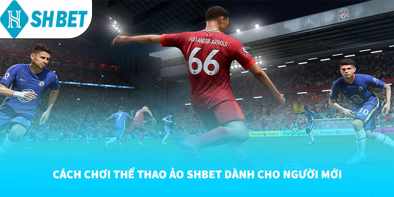 Thể Thao Ảo SHBET: Sân Chơi Cá Cược Hiện Đại Và Sôi Động